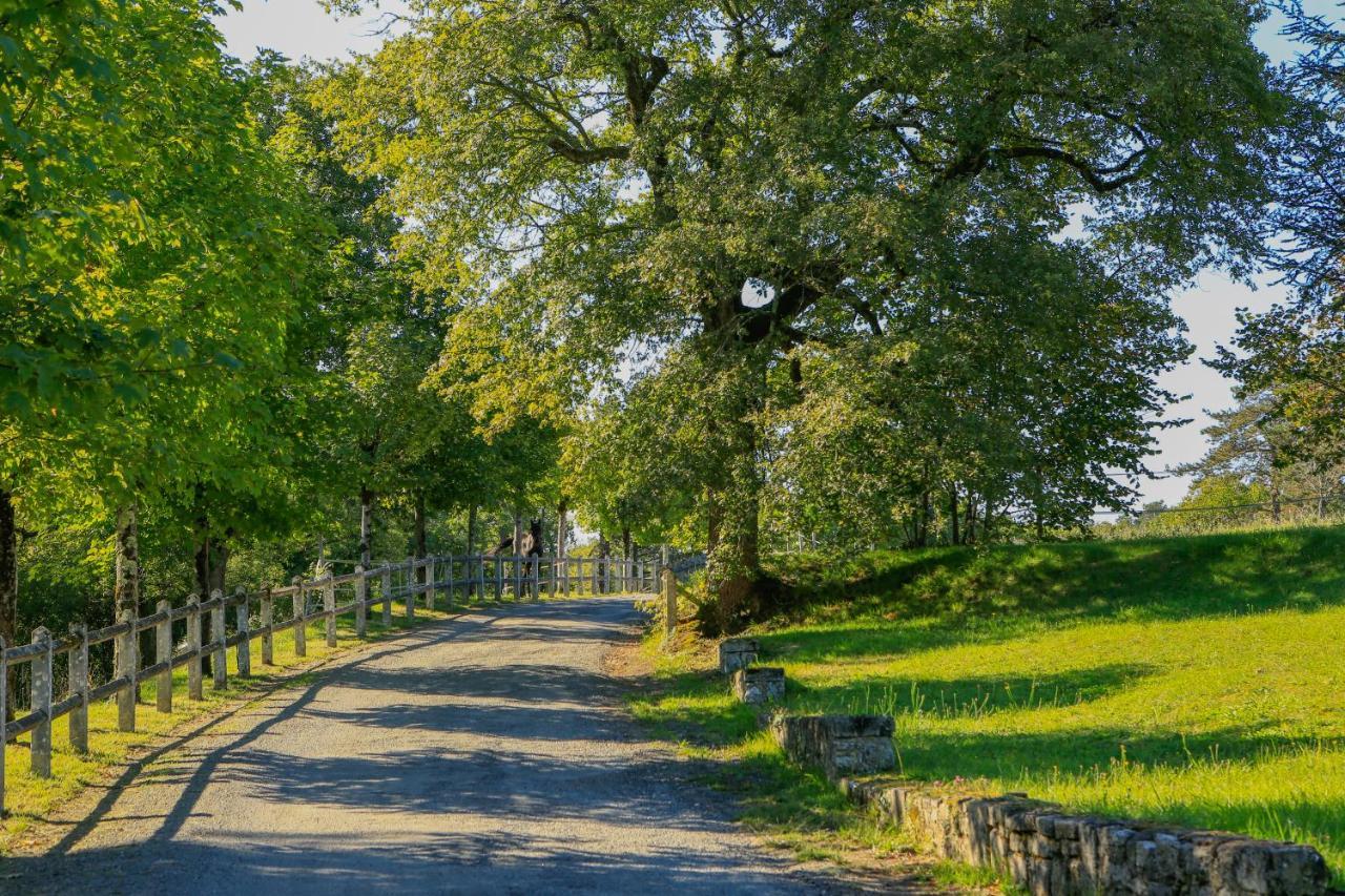 Logis Hotels Domaine Du Chatelard Dirac Экстерьер фото